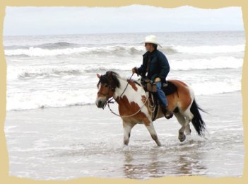 Horse riding by the ocean on the horse vacations with the Equine Research Foundation. Click to enlarge.