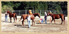 Horsemanship - group games.