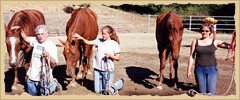 Horsemanship - group knee halter.